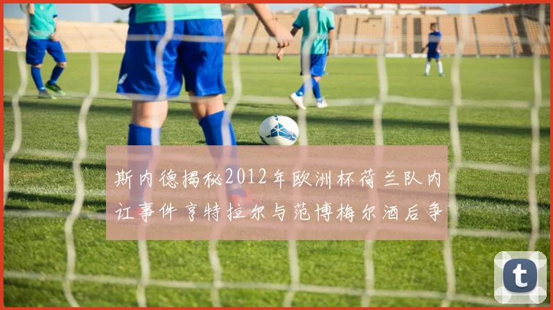 斯内德揭秘2012年欧洲杯荷兰队内讧事件亨特拉尔与范博梅尔酒后争执内幕